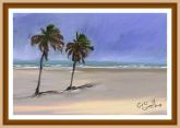 107 - Mangue Seco II- Bahia