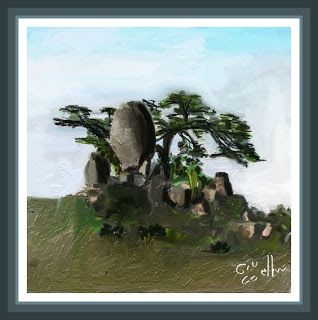 046 - Chapéu de Sol -Gouveia Minas