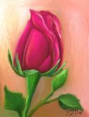 054 - Pink Rose